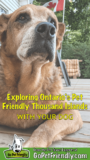 Enjoying The Thousand Islands Region Of Ontario With Your Dog