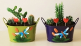 We Have the Cutest (and Funniest) Names for Your Plants